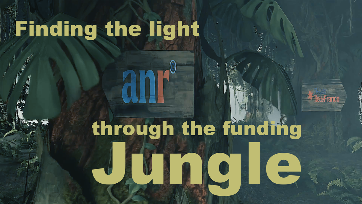 Finding the light through the funding jungle